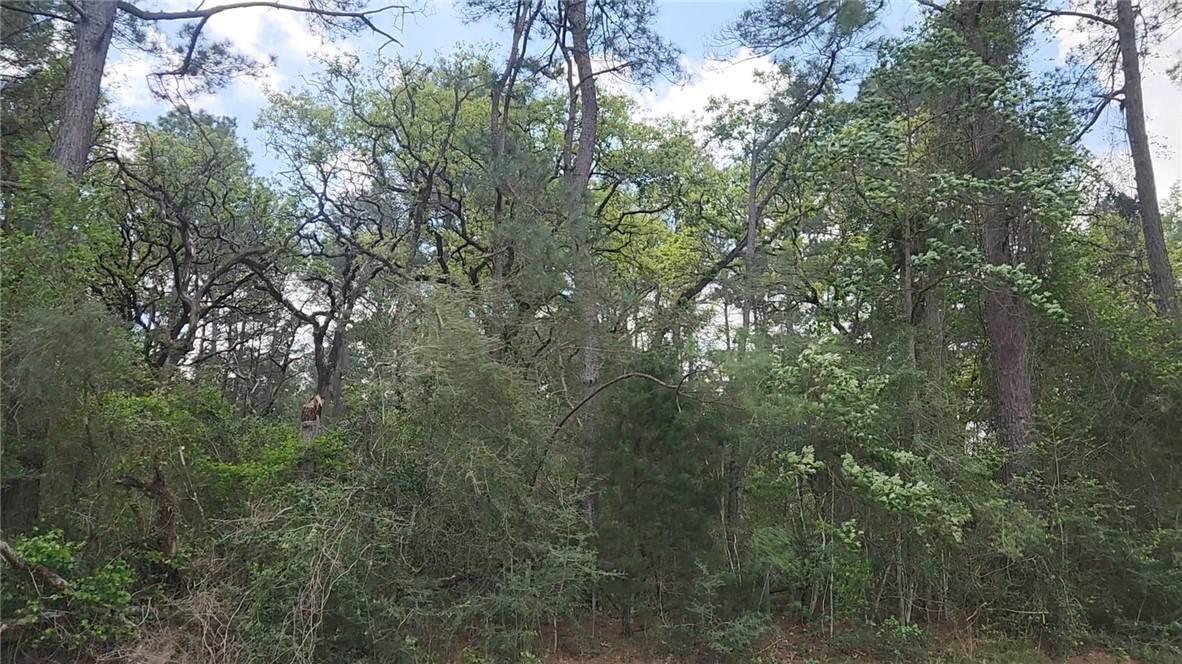 Lot 2 N. Council Dr. - Photo 1