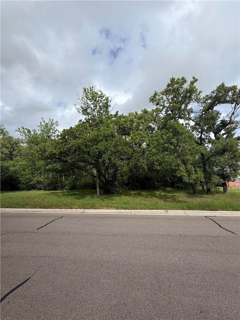1011 Holt Street - Photo 1