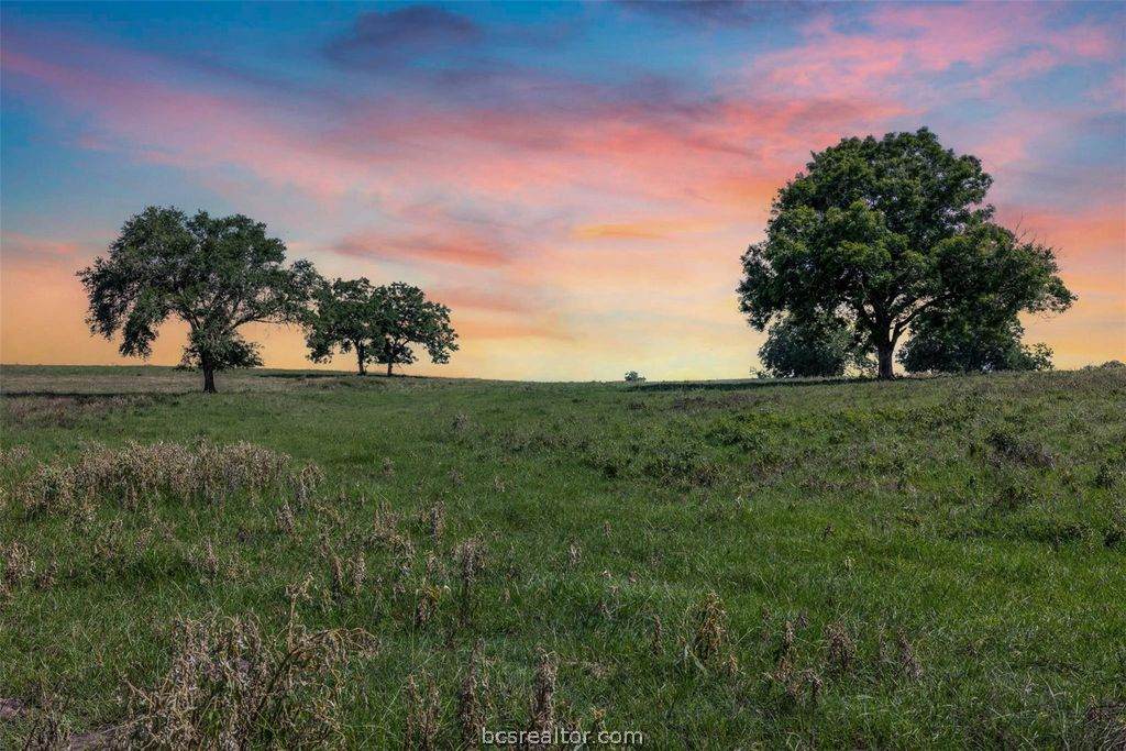 6550 Gibbs Creek Road - Photo 1