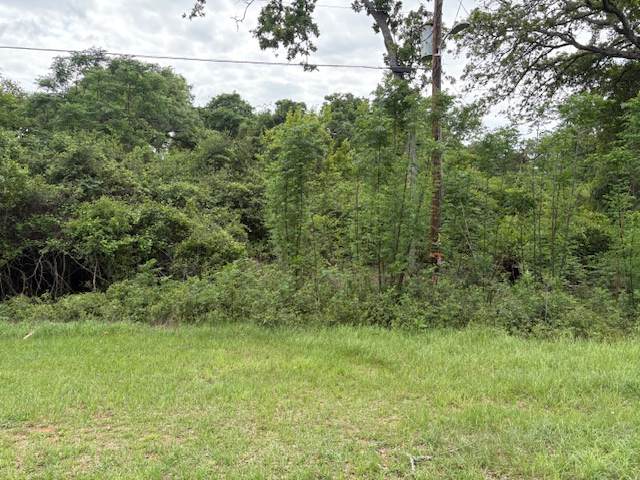 TBD Arnold Palmer Lane - Photo 1