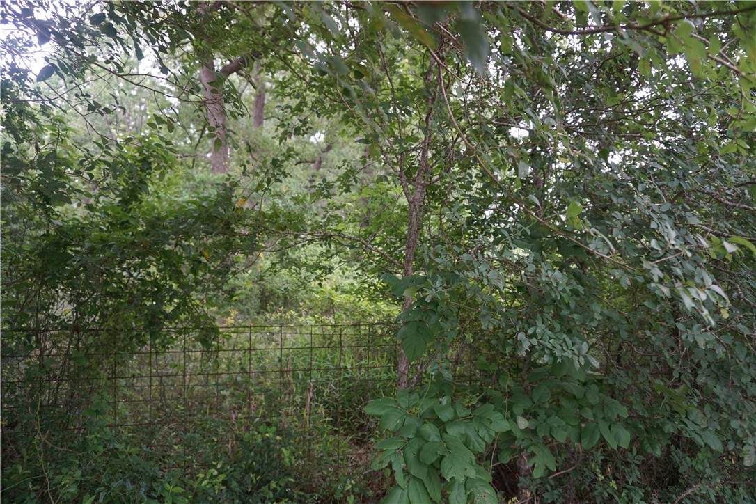 TBD Berry Creek Drive - Photo 1