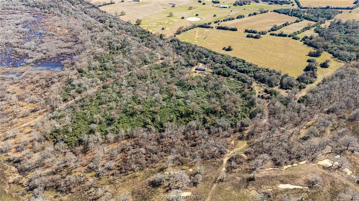 17668 Highway 21 - Photo 1