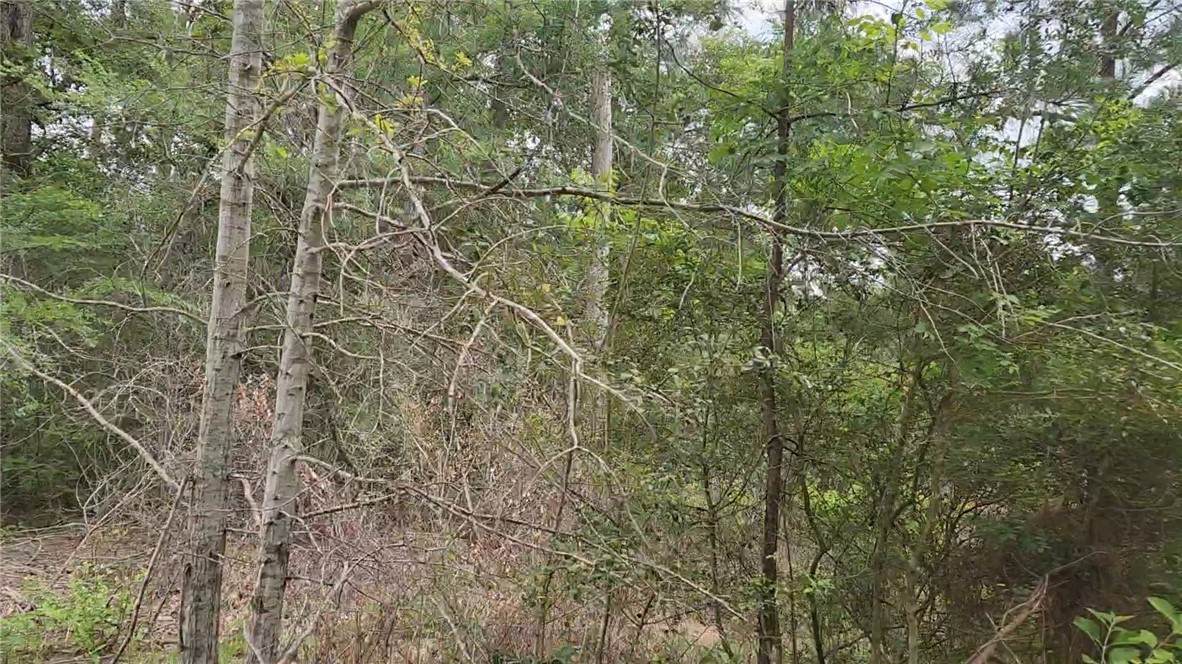 Lot 10 Sweetleaf Lane - Photo 1