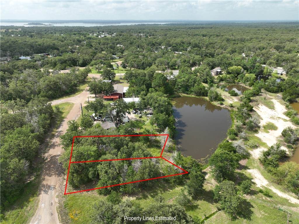 Lots 125 & 126 Lakeview Loop - Photo 1