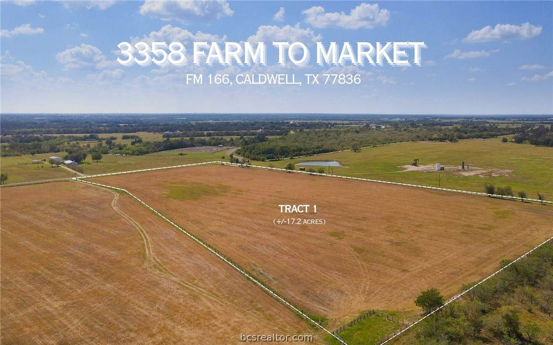 TBD Fm 166 (+/-17.2 Acres) - Photo 1