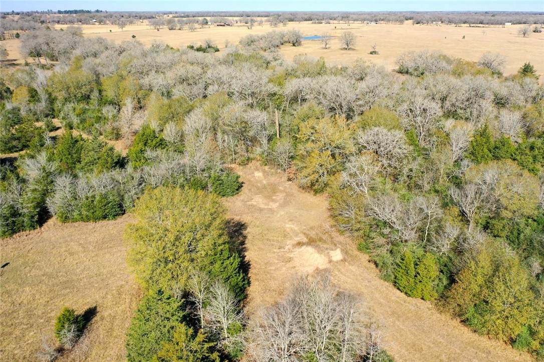 5 acres Manning Lane - Photo 1