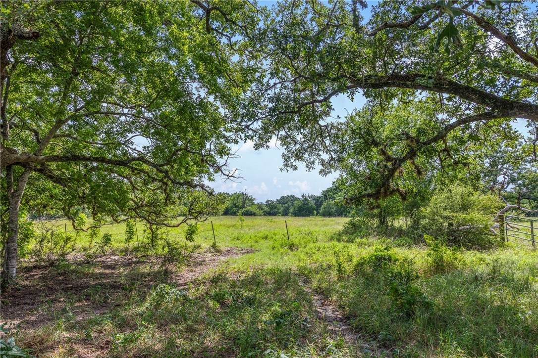 11504 Dowling Road - Photo 1