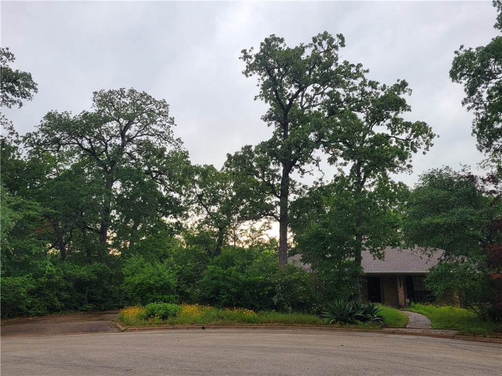 2707 Teakwood Court - Photo 1
