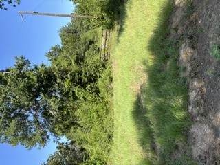TBD Cr 488 - Photo 1