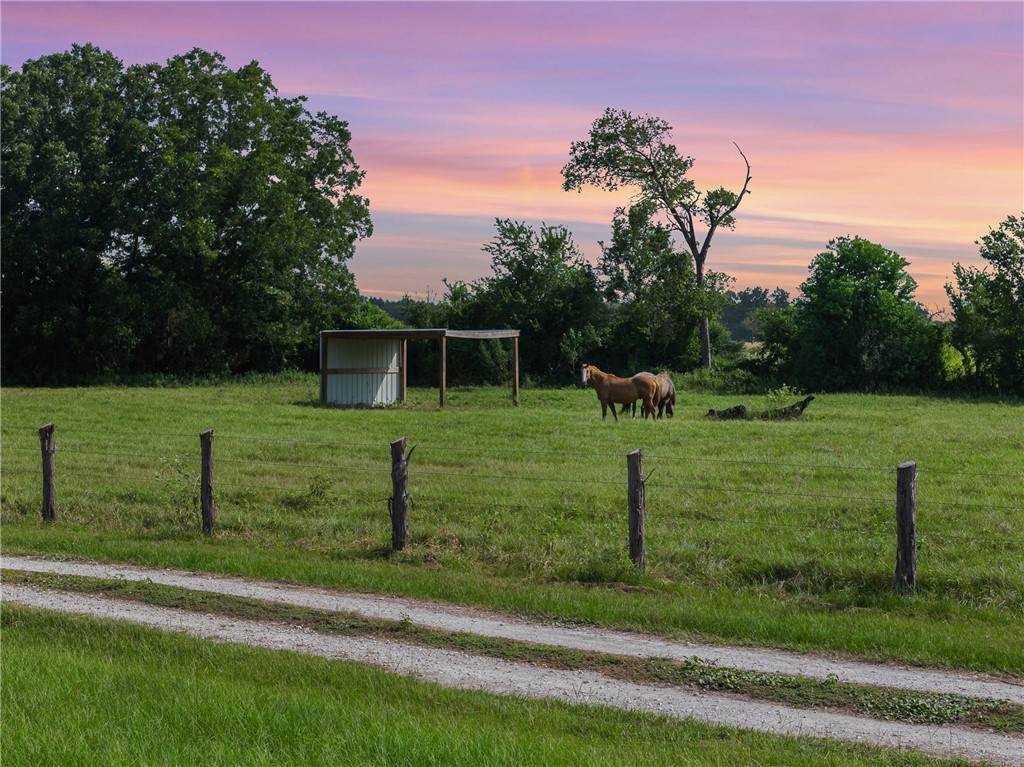 11043 County Road 336 - Photo 1
