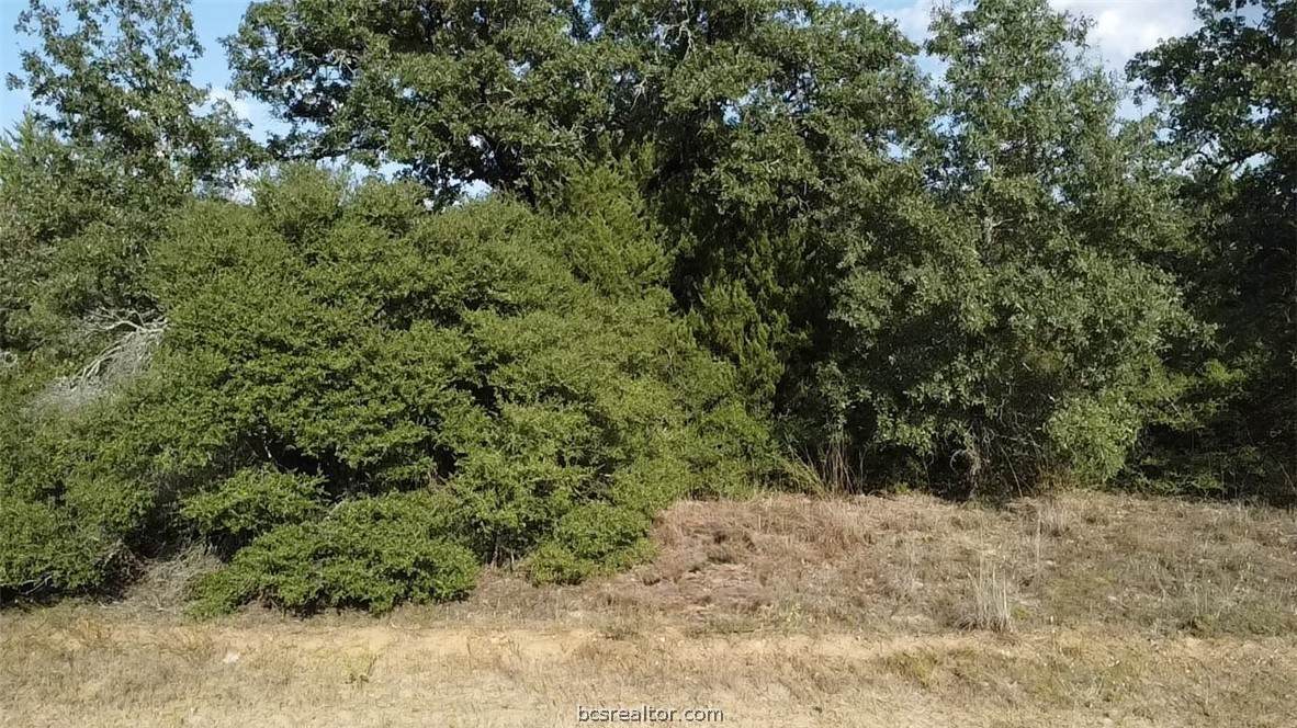 TBD Holly Springs Drive - Photo 1