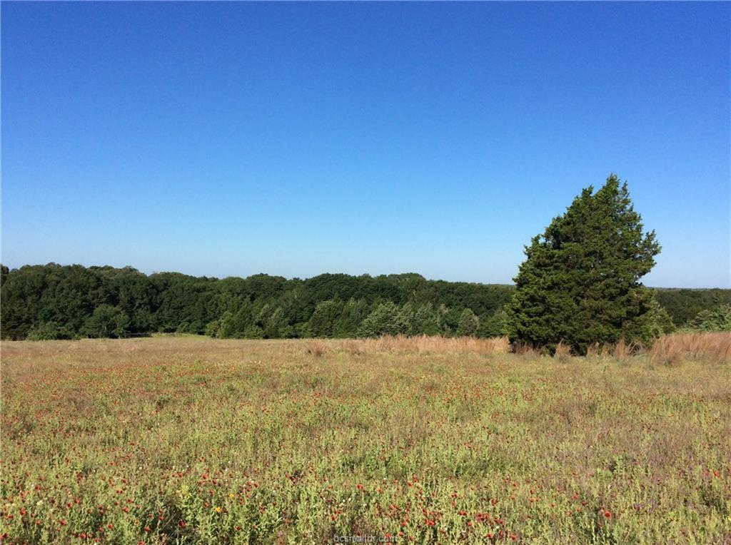 NA Cr 344 County Road - Photo 1