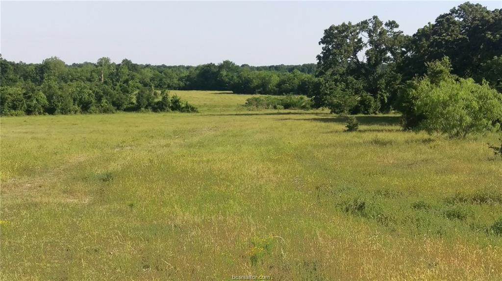 TBD Leaning Oaks Lane Road - Photo 1