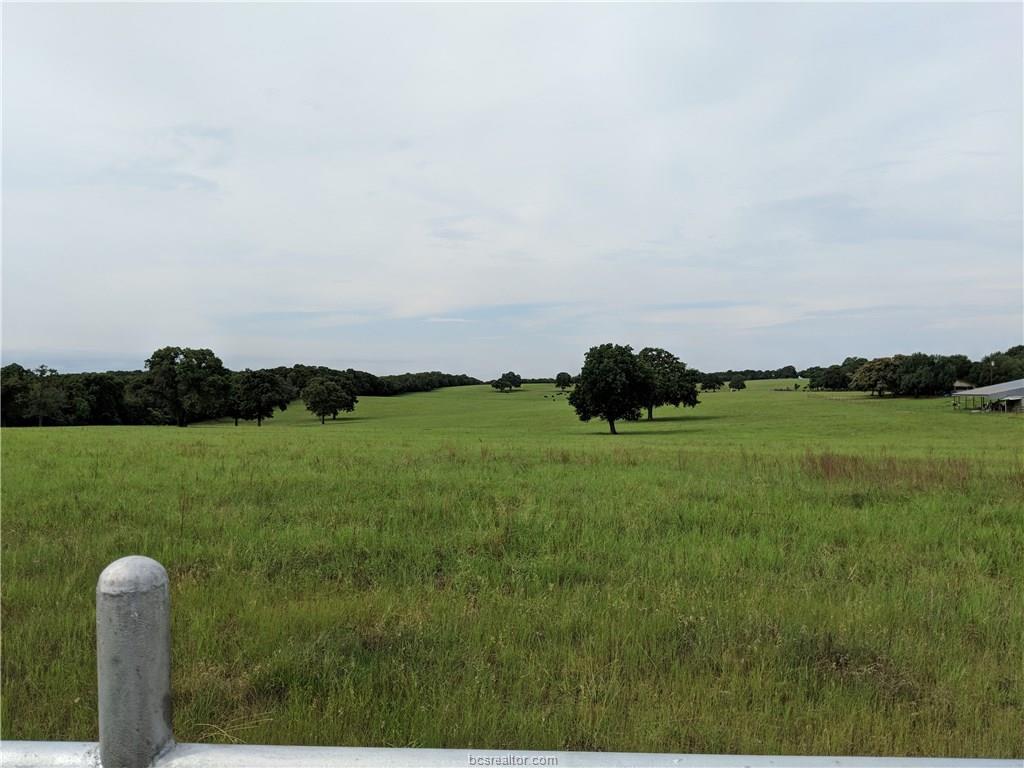 466 County Road 280 - Photo 1