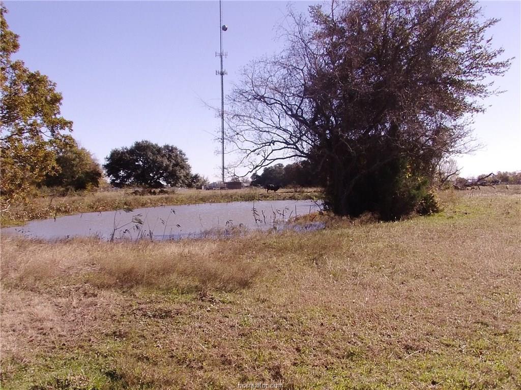 000 Farm Road 60 - Photo 1