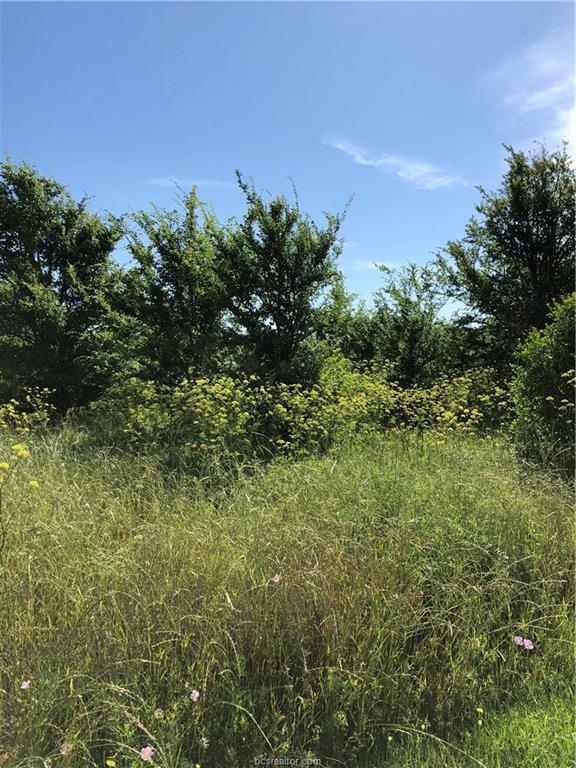 6501 Hardy Weedon Road - Photo 1