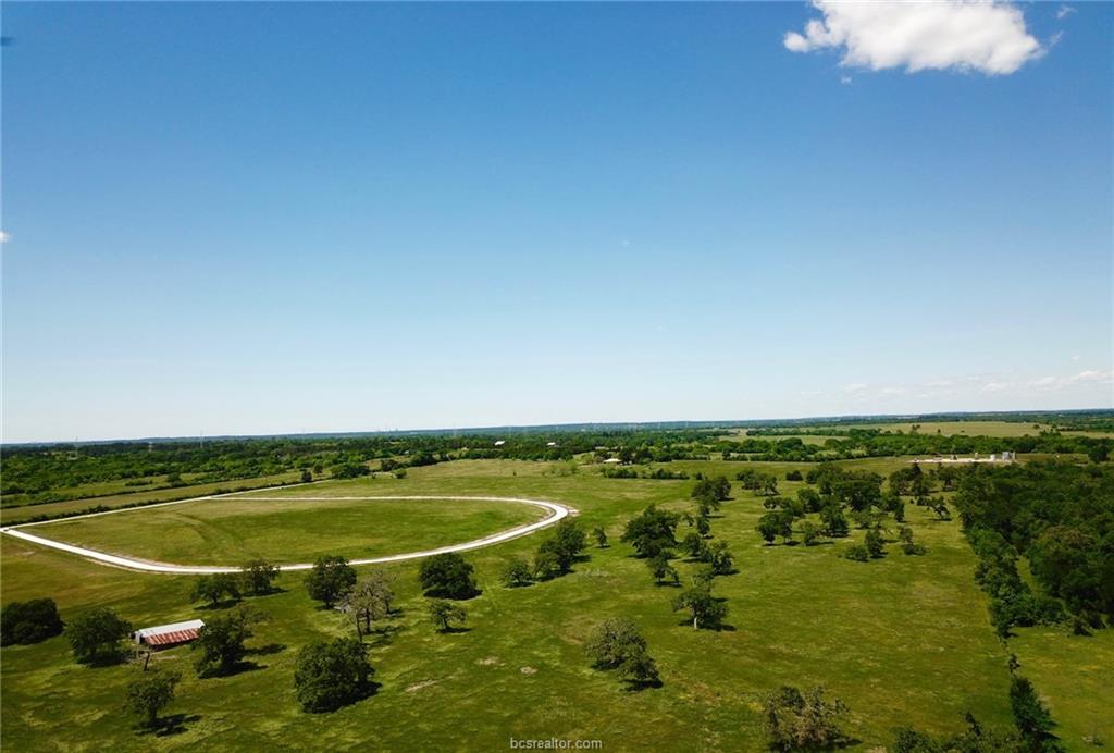 TBD - Lot 1 County Road 220 - Photo 1