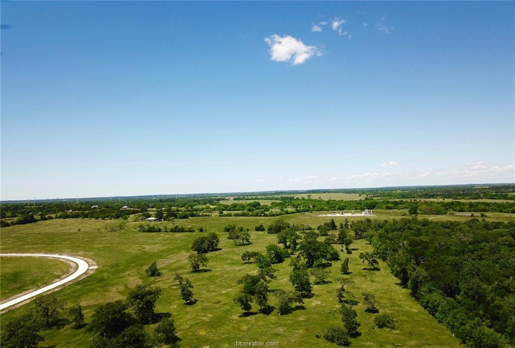 TBD - Lot 10 County Road 220 - Photo 1