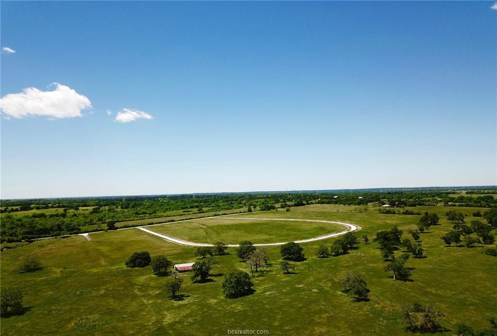 TBD - Lot 13 County Road 220 - Photo 1