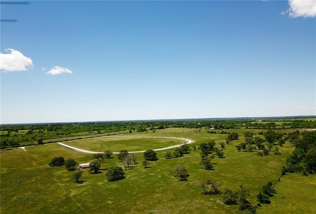 TBD - Lot 20 County Road 220 - Photo 1