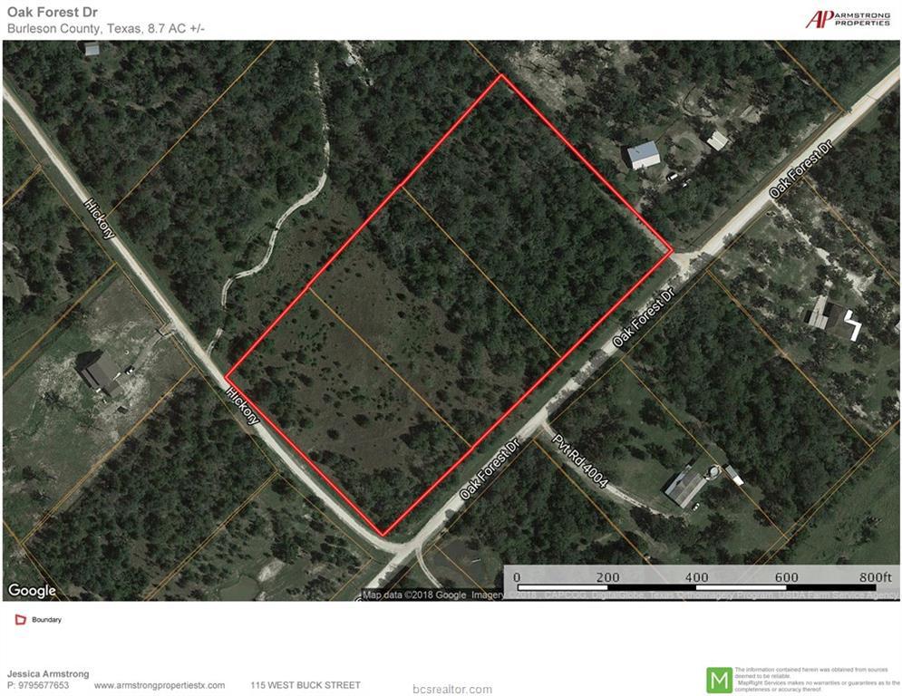+/- 8.7 ac. Oak Forest Drive - Photo 1
