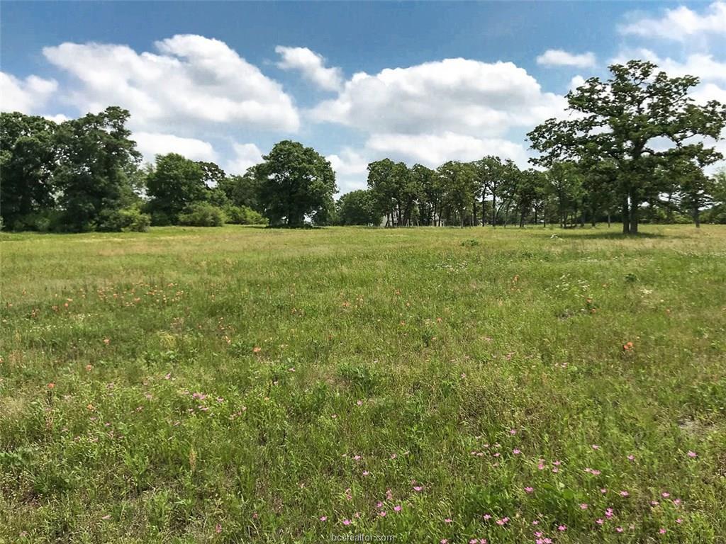 Lot 284 St John Dr - Photo 1