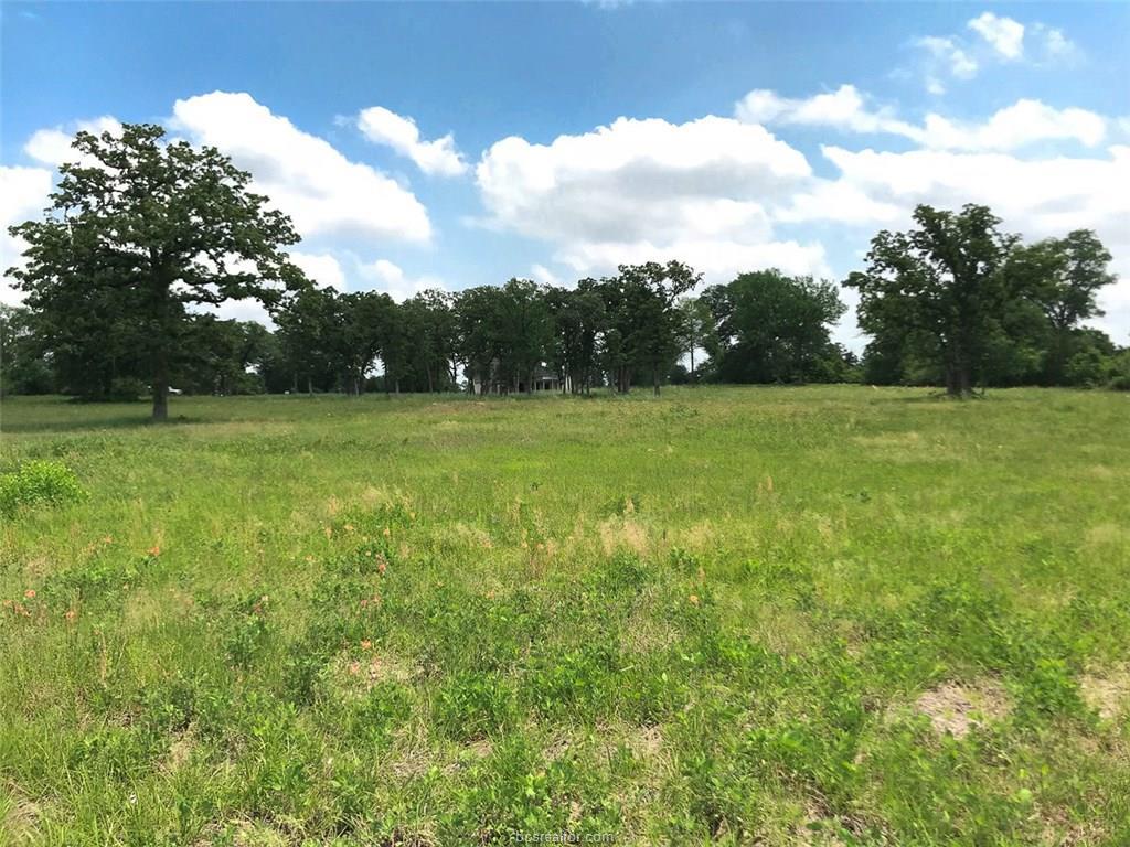 Lot 285 St John Dr - Photo 1
