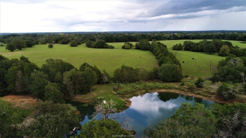 8215 County Road 318 (+/-50 Acres) - Photo 1
