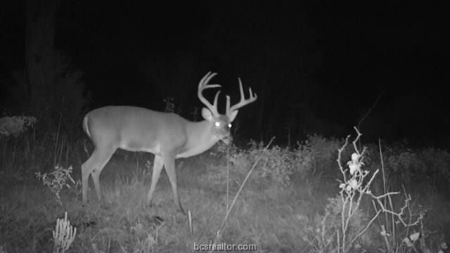 8290 Fm 39 Road - Photo 1
