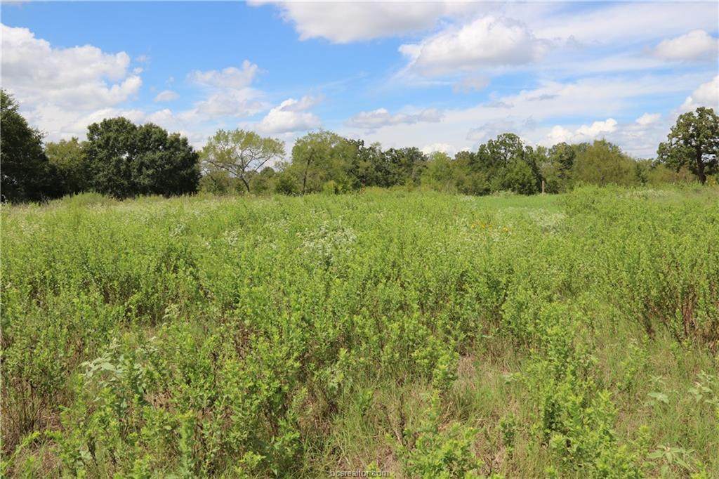 000 County Road 185 - Photo 1
