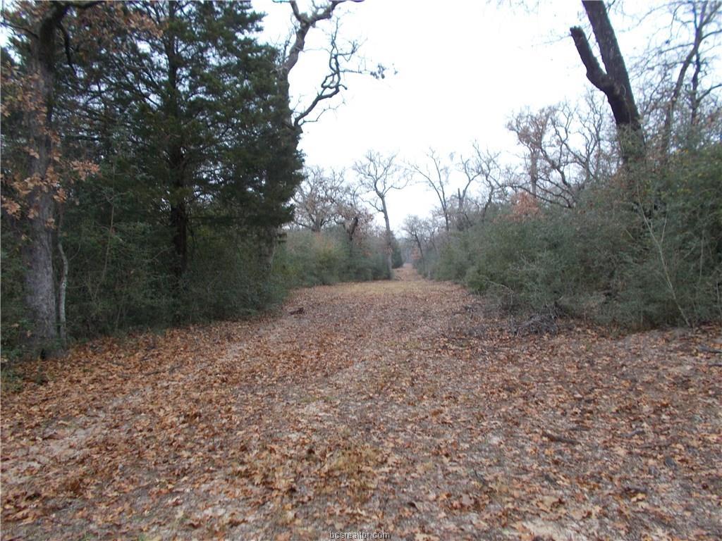 2350 Cr 413 - Photo 1 2350 Cr 413 - Photo 1