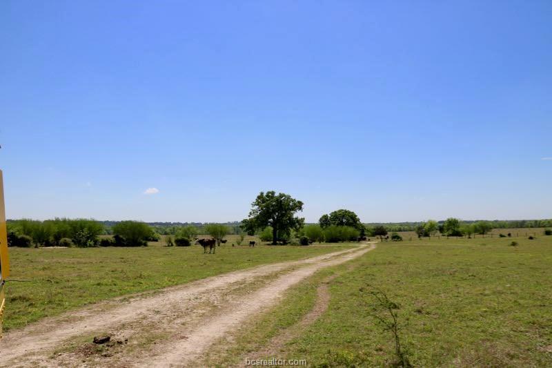 00695 County Road 446 - Photo 1