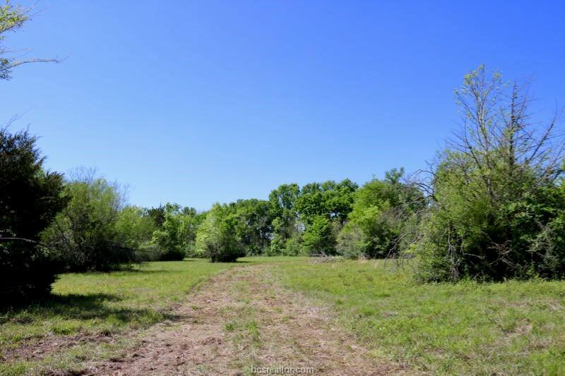 00355 County Road 446 - Photo 1