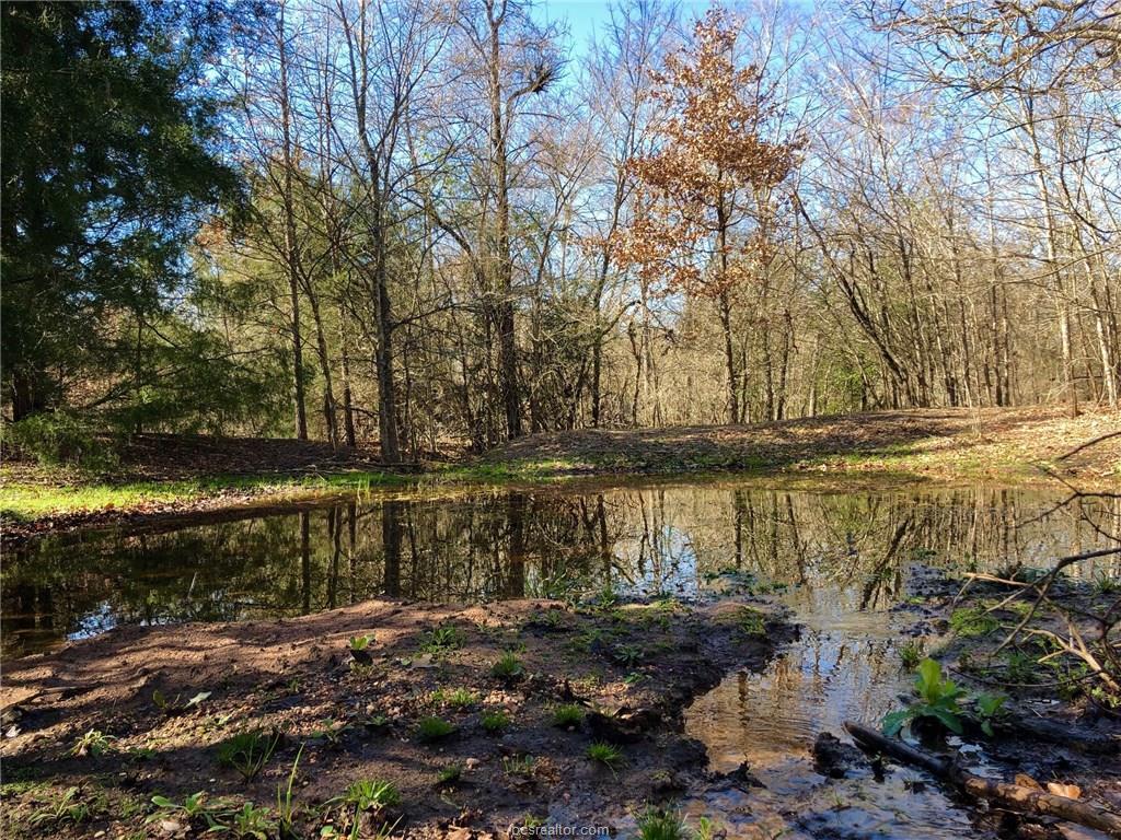 (+/-12 ac) 5230 Sunnyside Rd - Photo 1