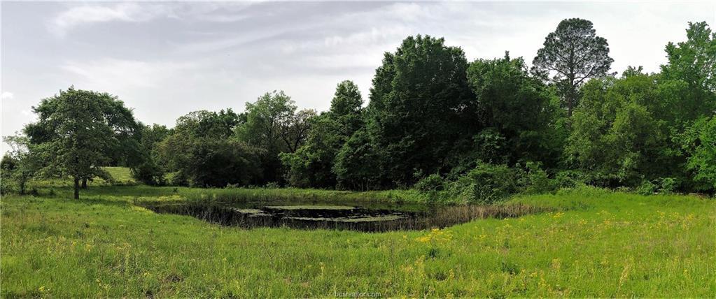 TBD Walker Prairie & Old Hickory Grove Road - Photo 1