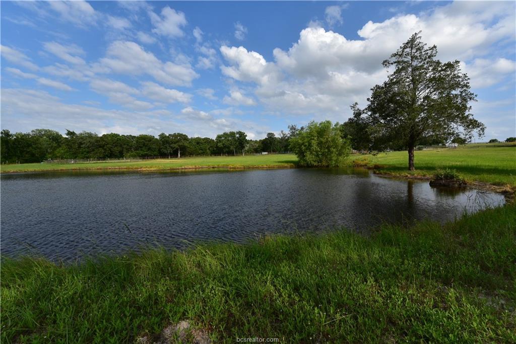 (+/-17 ac) 2978 County Road 224 - Photo 1