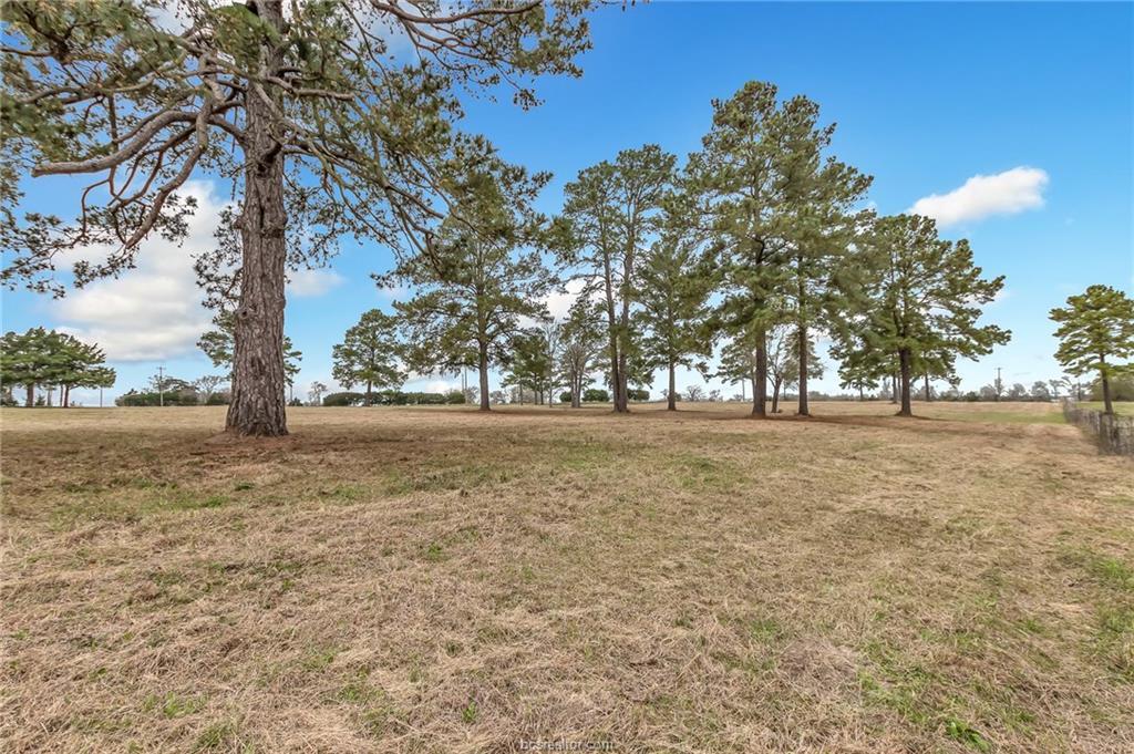 1773 County Road 219 - Photo 1