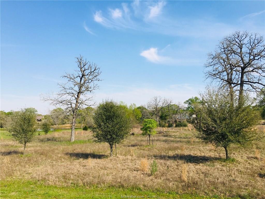 9607 Wales Court - Photo 1