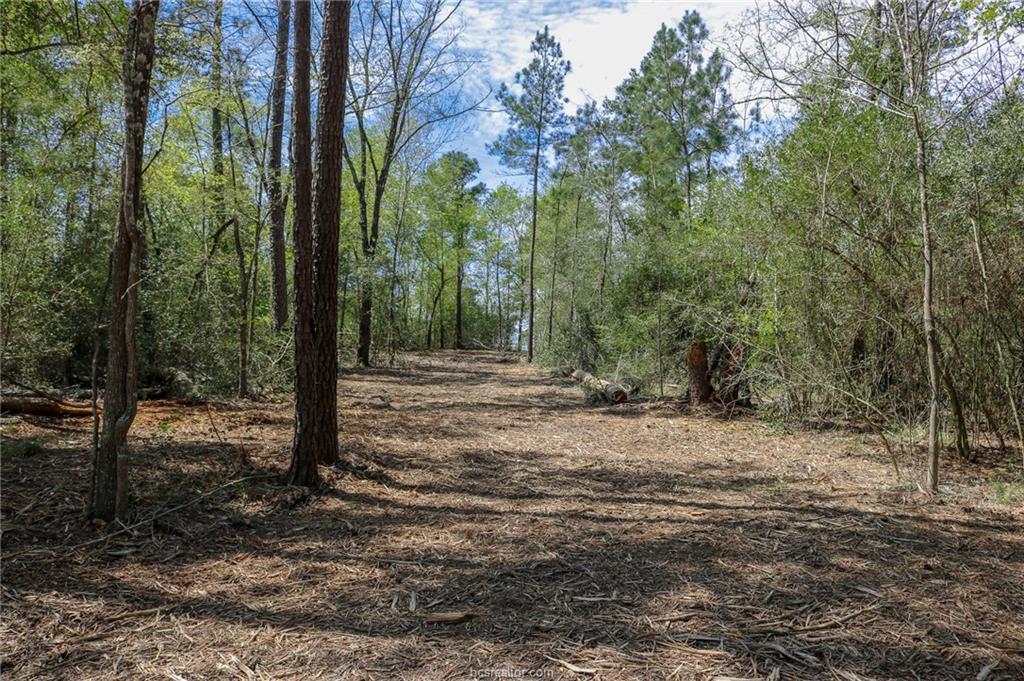 TBD County Rd 207A - Photo 1
