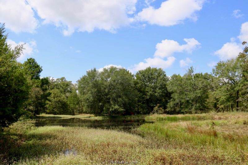 0029 County Road 157 - Photo 1