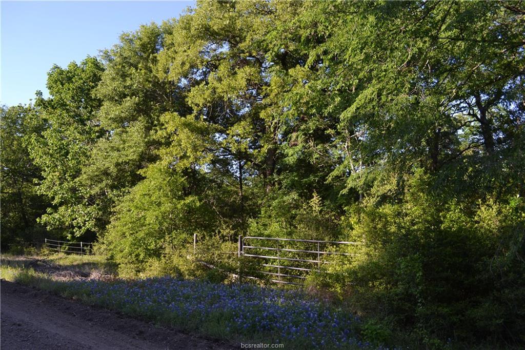 000 Swan Lake Drive - Photo 1