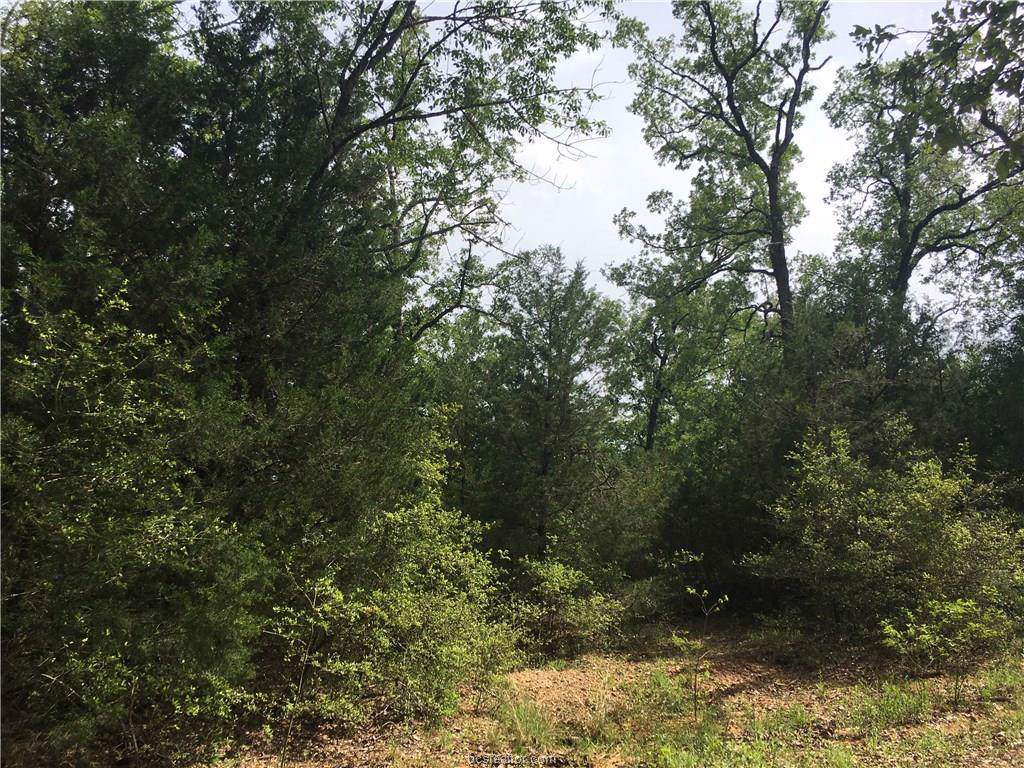 TBD Old Bundick Road - Photo 1
