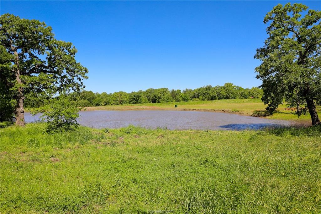 431 County Road 314 - Photo 1