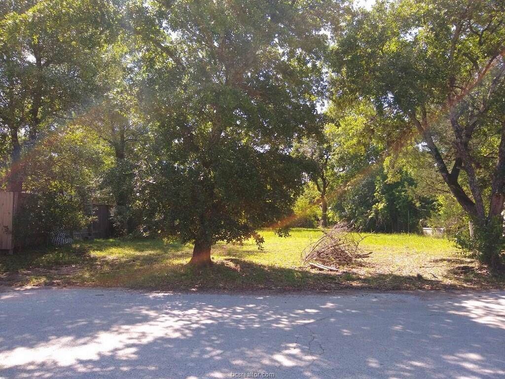 205 Lynn Drive - Photo 1