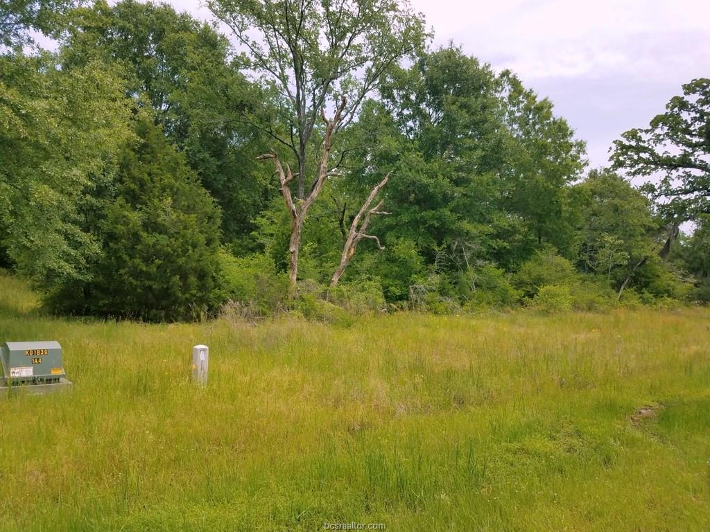 TBD Belgrave - Photo 1