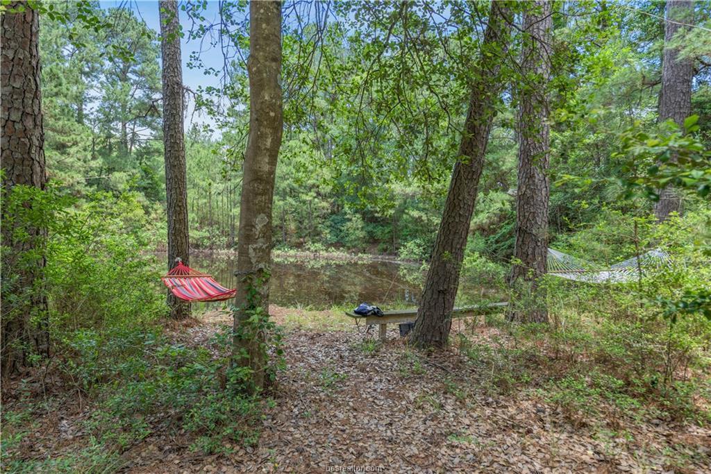 4110 County Road 178 - Photo 1