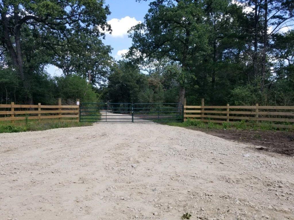 1104 Pack Lane - Photo 1