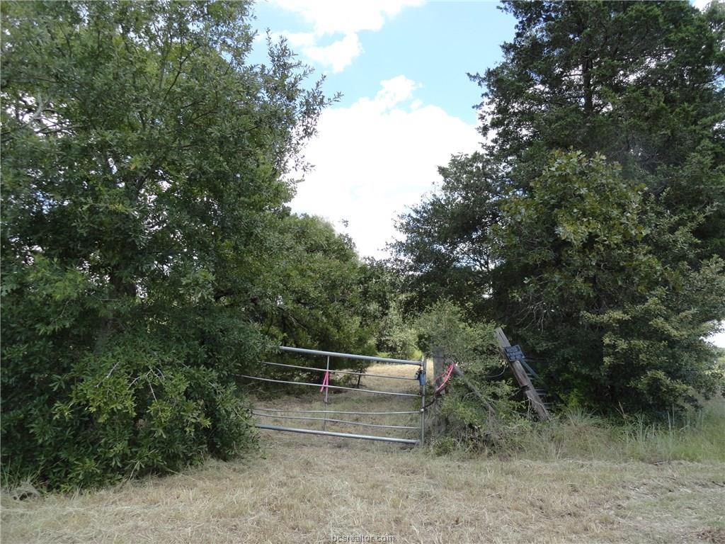 5 acres Farm Road 1361 - Photo 1