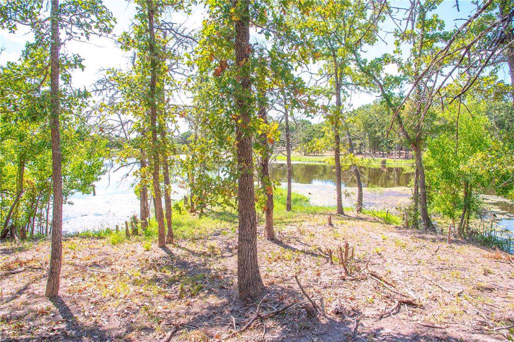 Lot 210 Overlook Drive - Photo 1