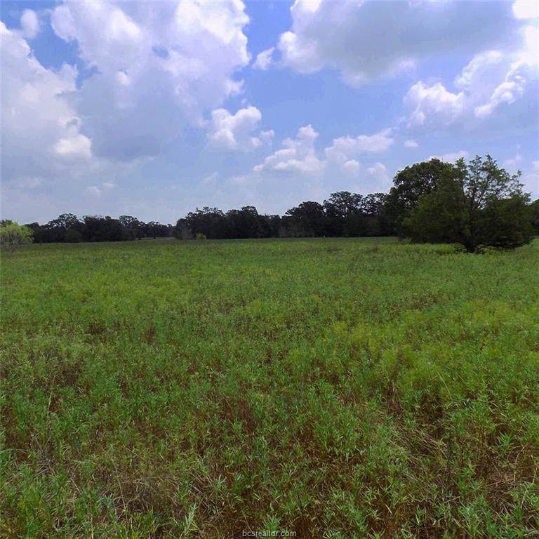 TBD River Oaks Drive - Photo 1